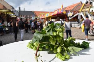 Dočesná přinesla hodně zábavy a méně nepořádku